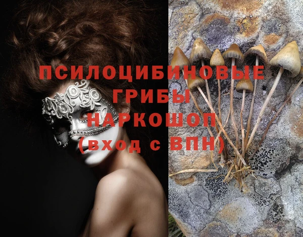 экстази Арсеньев