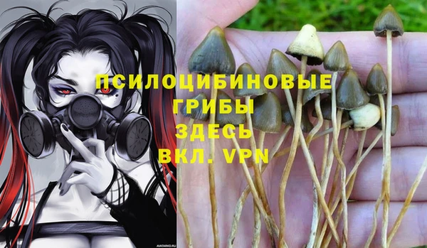 мяу мяу мука Аркадак