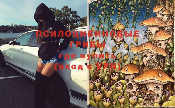 спиды Армянск
