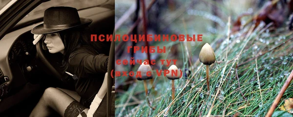 спиды Армянск