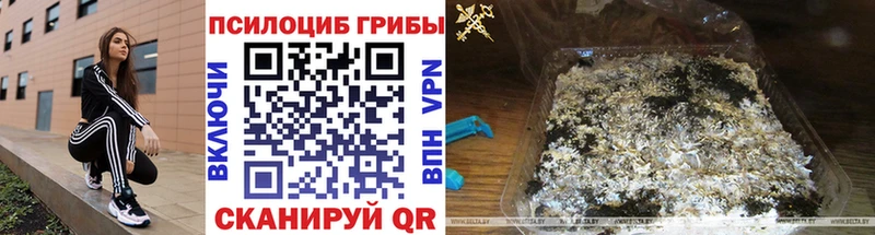 Псилоцибиновые грибы Magic Shrooms  Купить где  Бахчисарай 